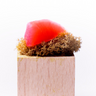 Zum Heiligen Teufel – Signature Dish